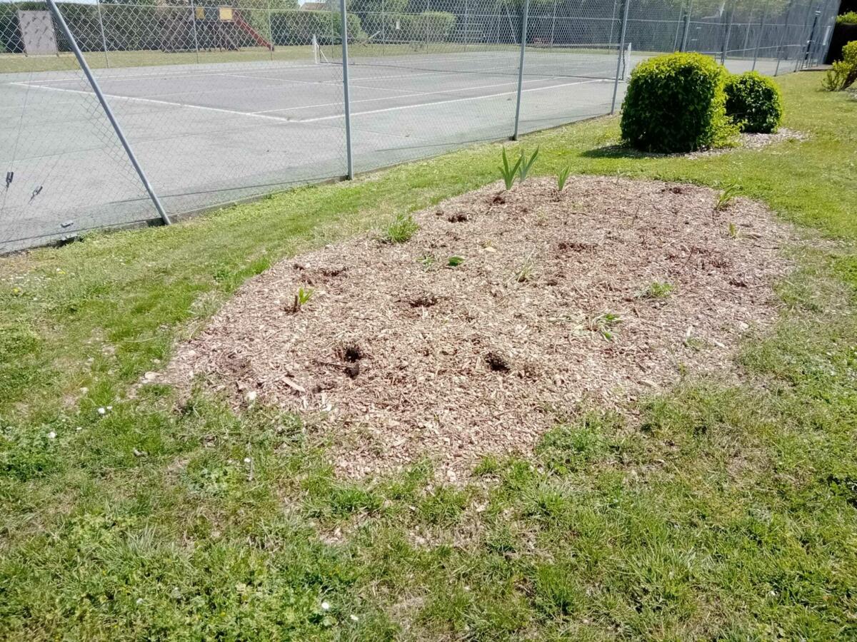 Image de l'actualité