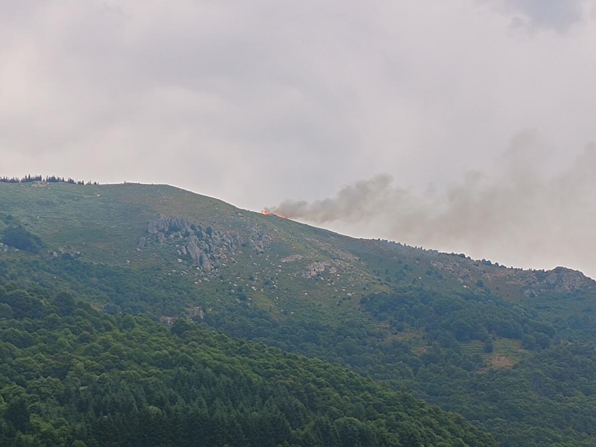 Image de l'actualité