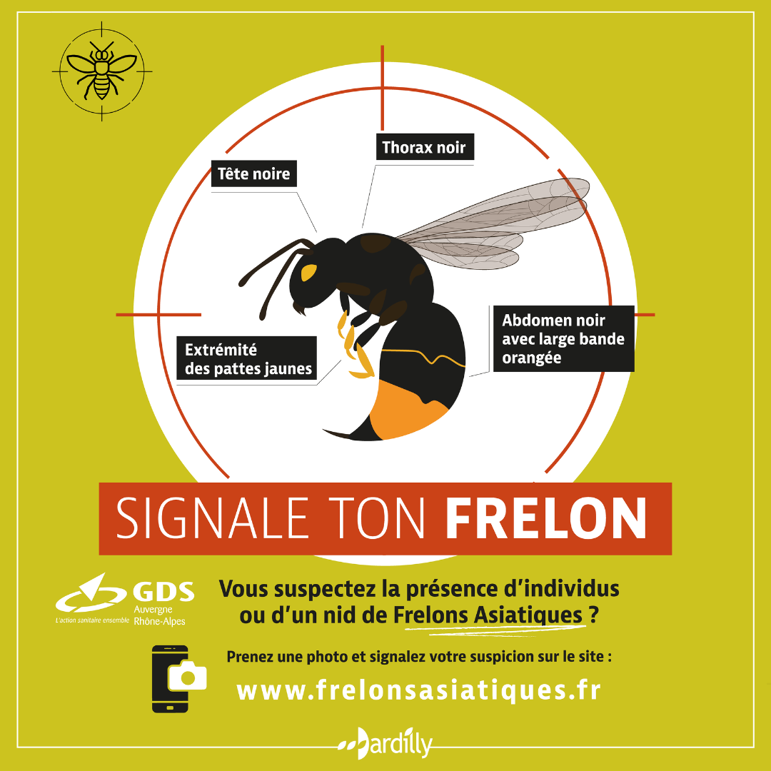 [SIGNALE TON FRELON] ⚠️? (1/1)