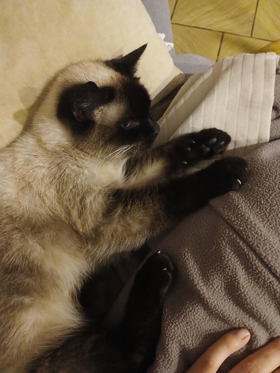 Image de l'actualité