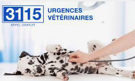 3115 Urgences Vétérinaires est disponible sur Raizeux (1/1)