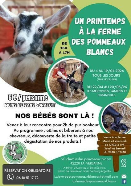 Image de l'actualité