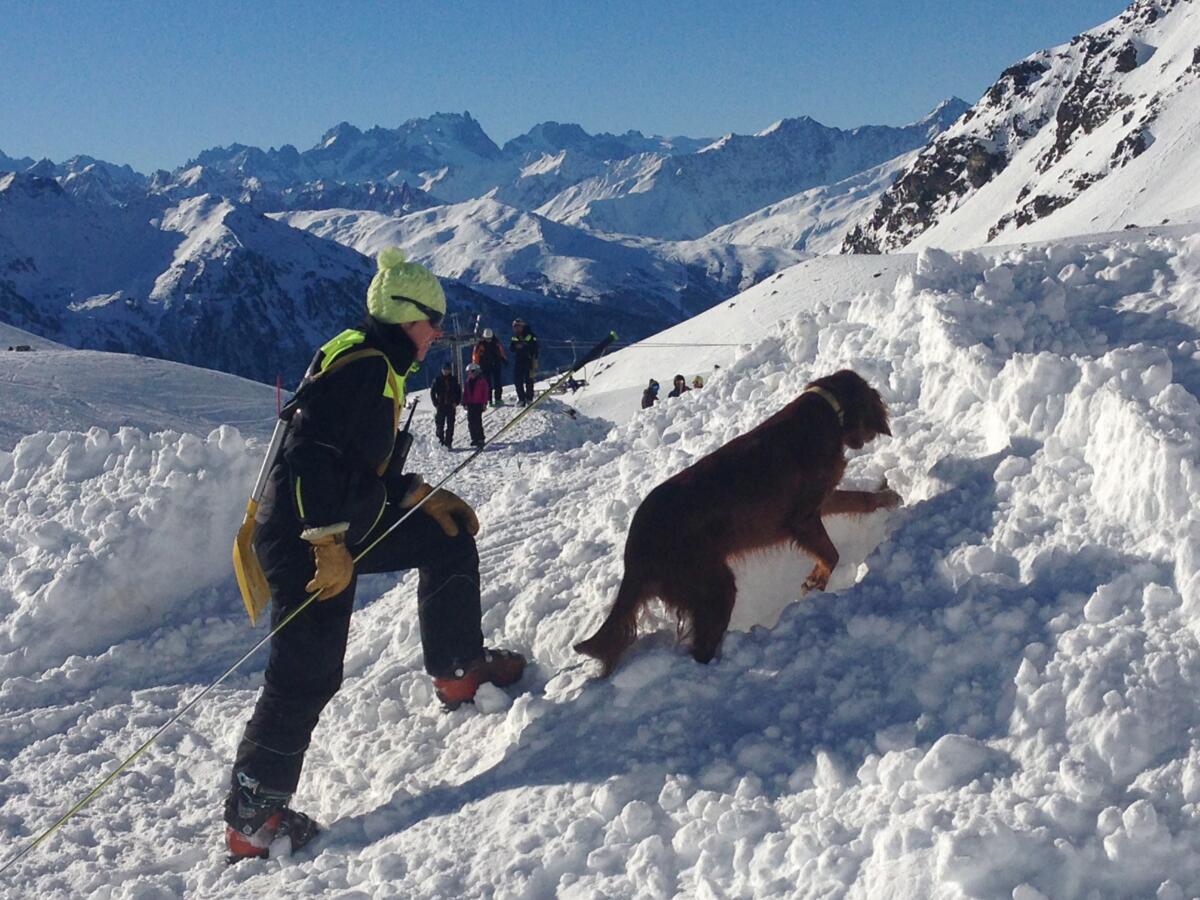 Animation Prévention Avalanches