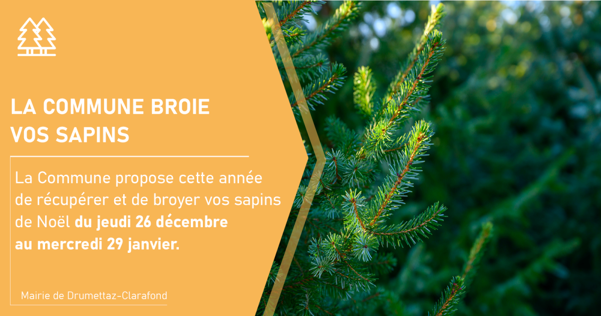 La Commune broie vos sapins 🎄♻️