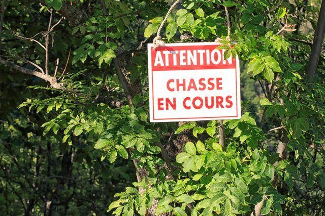 Battue de chasse Zone Est (Rue du Mont, rue de Luemschwiller) St Brice