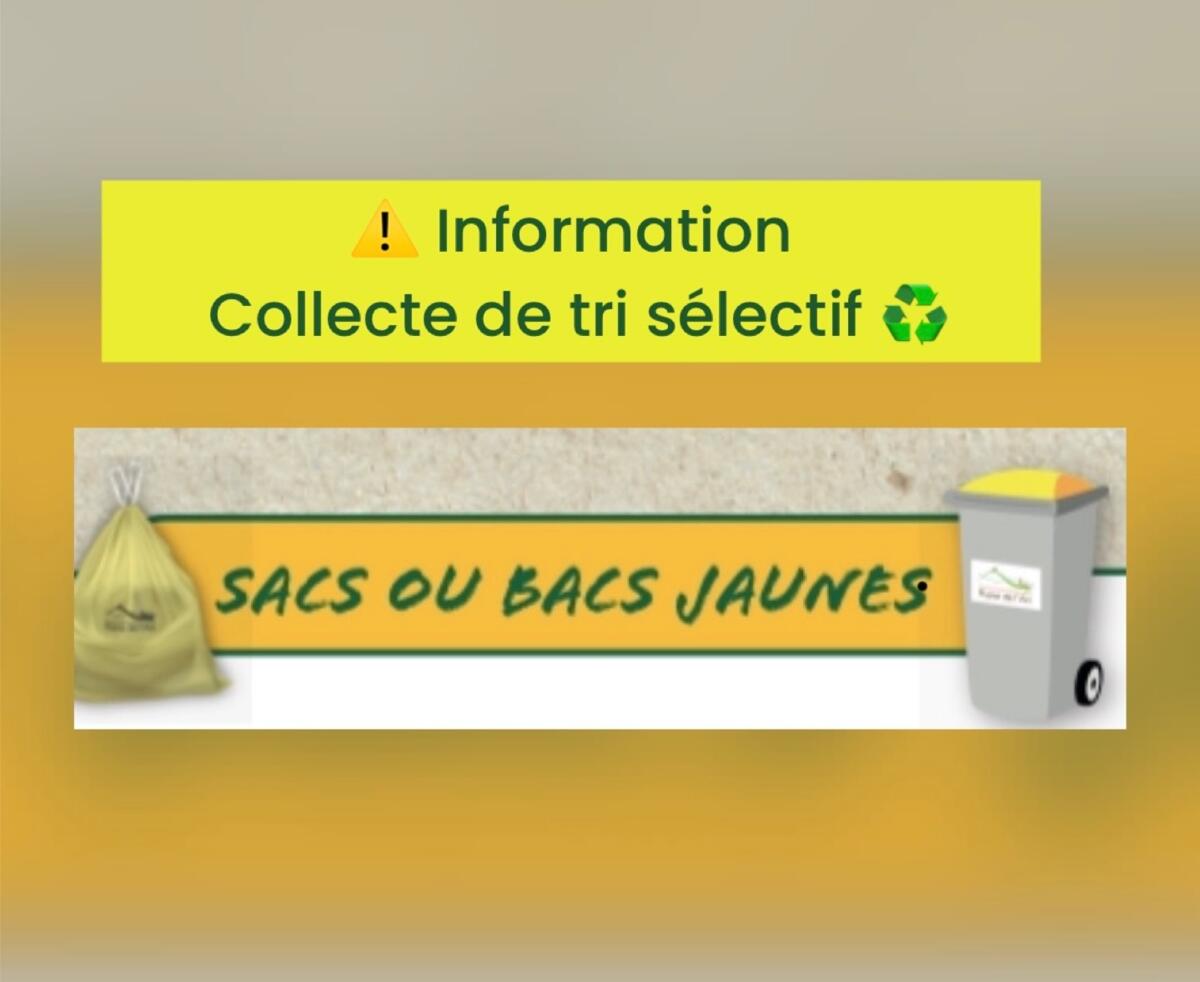 Collecte du tri sélectif ♻️