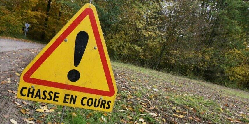 Battue de chasse - secteur Appenthal, vigne, carrière et forêt.