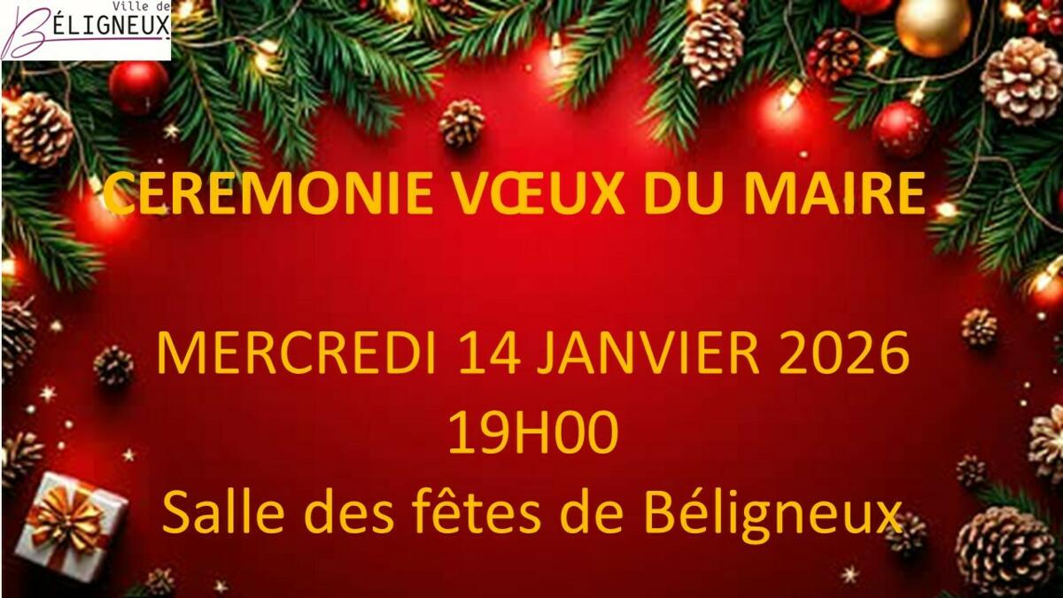 CEREMONIE DES VOEUX DU MAIRE