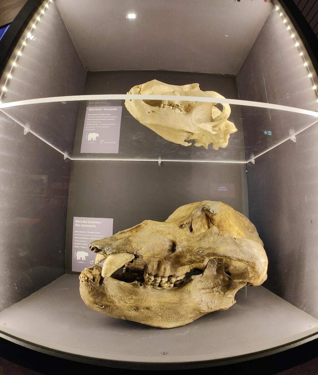 VISITE DE L’EXPOSITION TEMPORAIRE