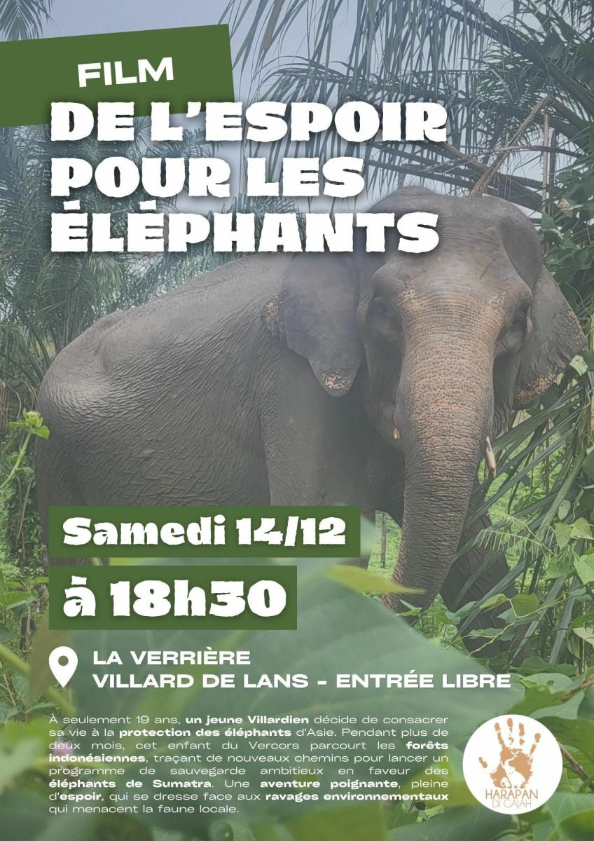 Film " De l'espoir pour les éléphants"