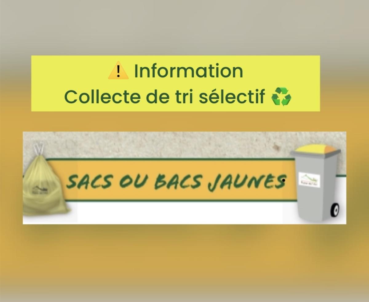 Collecte du tri sélectif ♻️