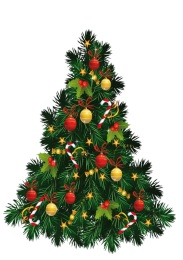 Distribution sapins de noël