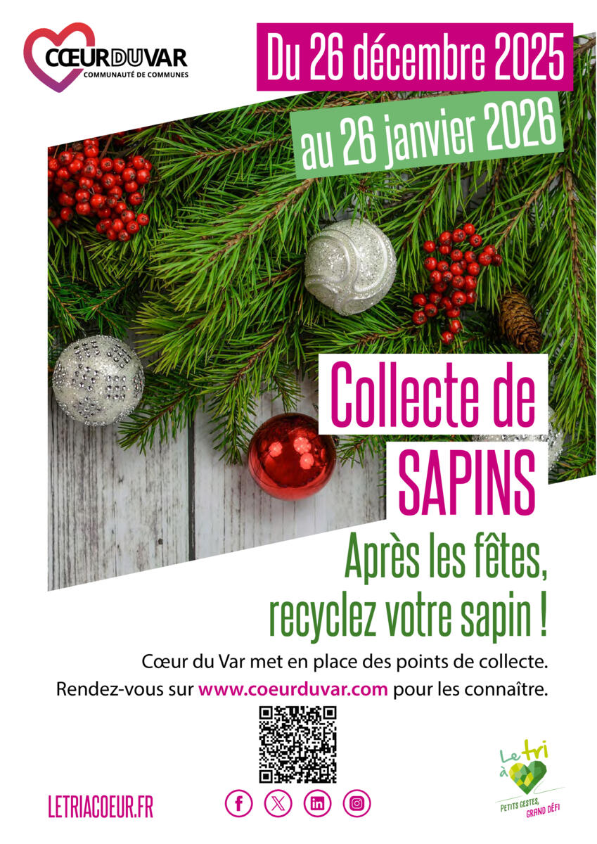 Collecte de sapins
