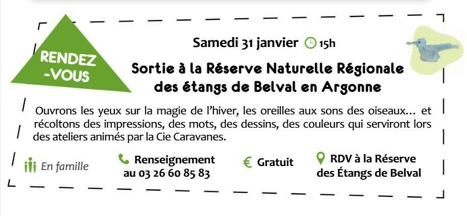 Sortie à la Réserve Naturelle Régionale des étangs de Belval en Argonne