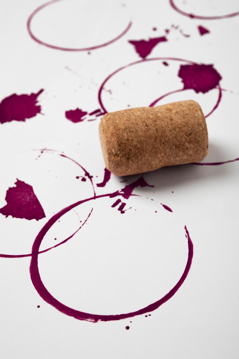 INITIATION À L'OENOLOGIE