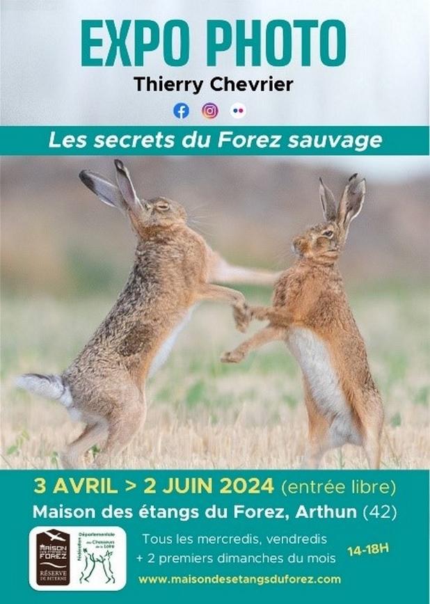 Expo photo Les secrets du Forez sauvage 3 avril au 2 juin 2024 BITERNE
