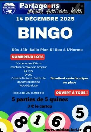 🎱 Bingo de Noël