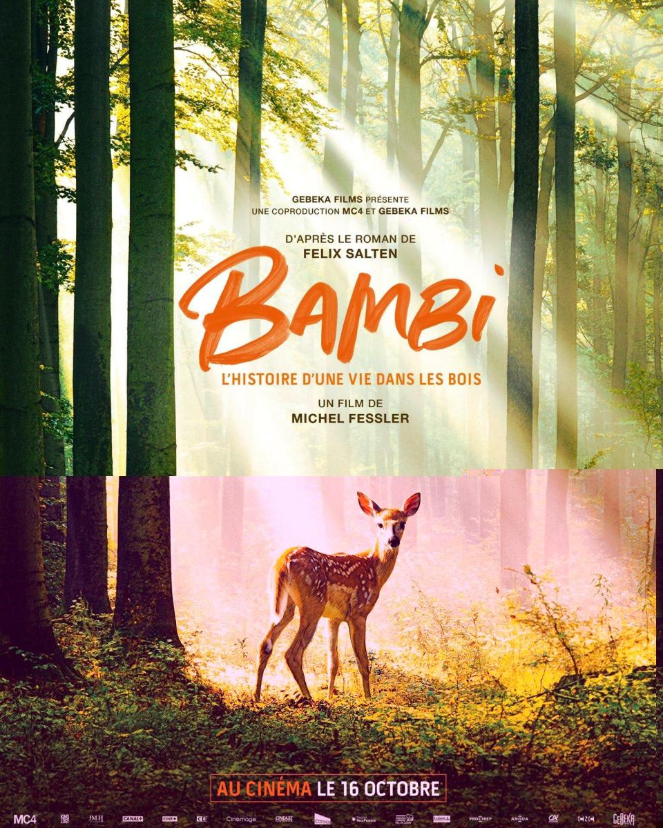 séance de cinéma Bambi, l'hidtoire d'une vie dans les bois