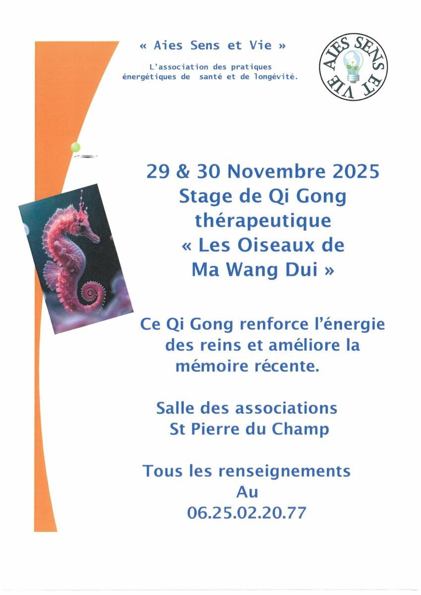 stage de Qi Gong thérapeutique " Les Oiseaux de Ma Wang Dui "