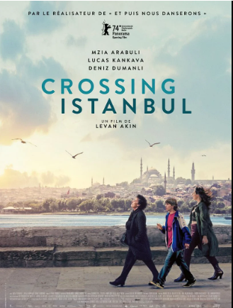 Crossing Istanbul