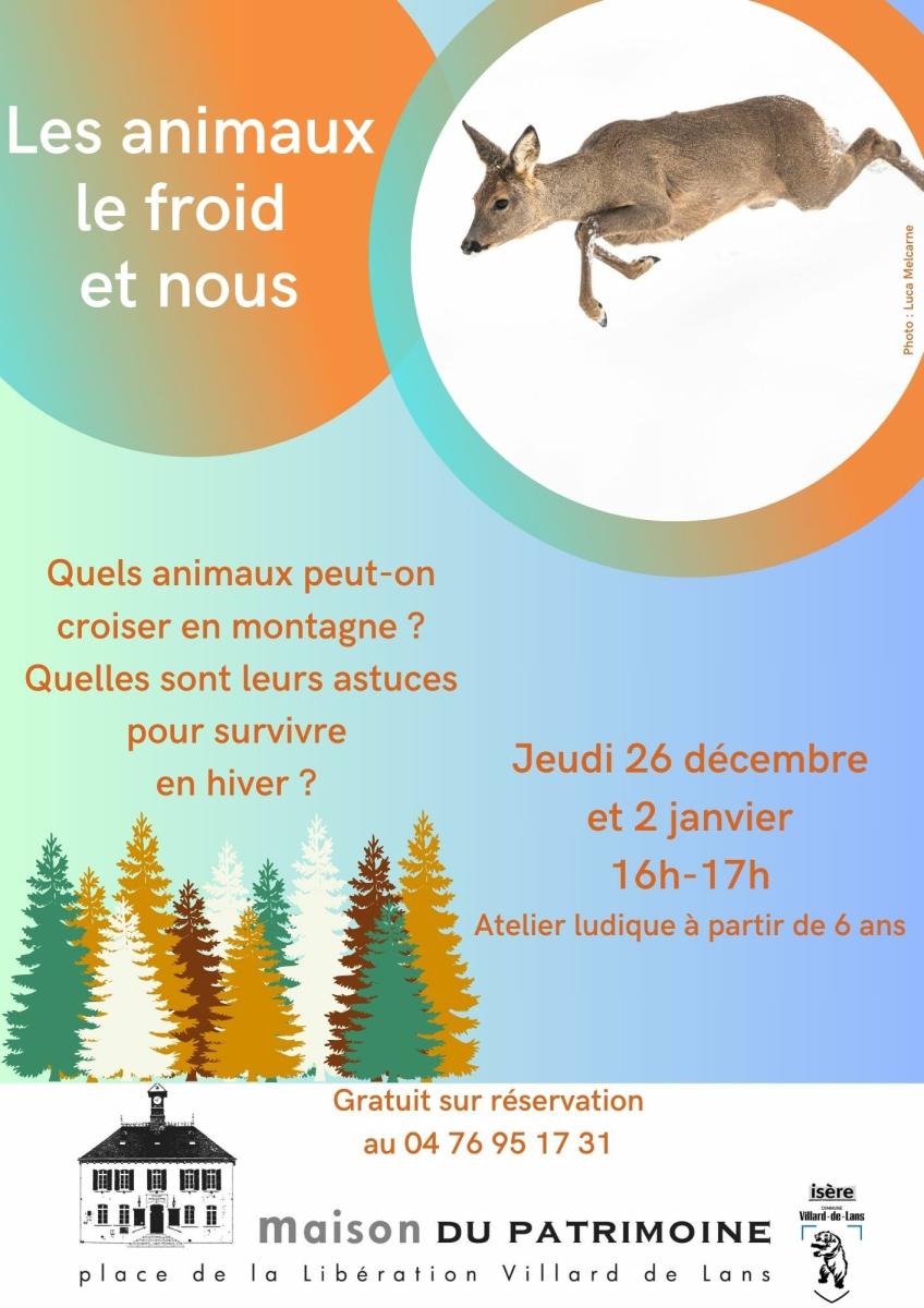 Animation enfant "Les animaux, le froid, et nous"