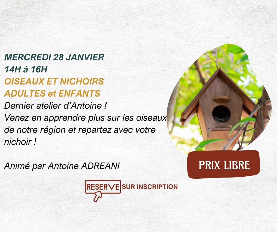 Atelier Oiseaux et nichoirs