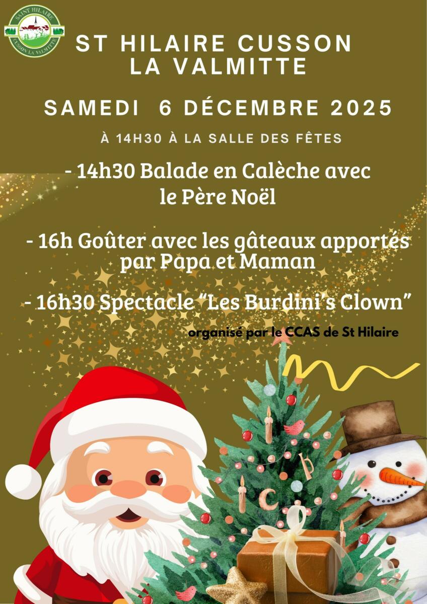 ARBRE DE NOËL  Saint Hilaire Cusson La Valmitte