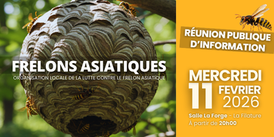 🐝 FRELON ASIATIQUE – RÉUNION D'INFO