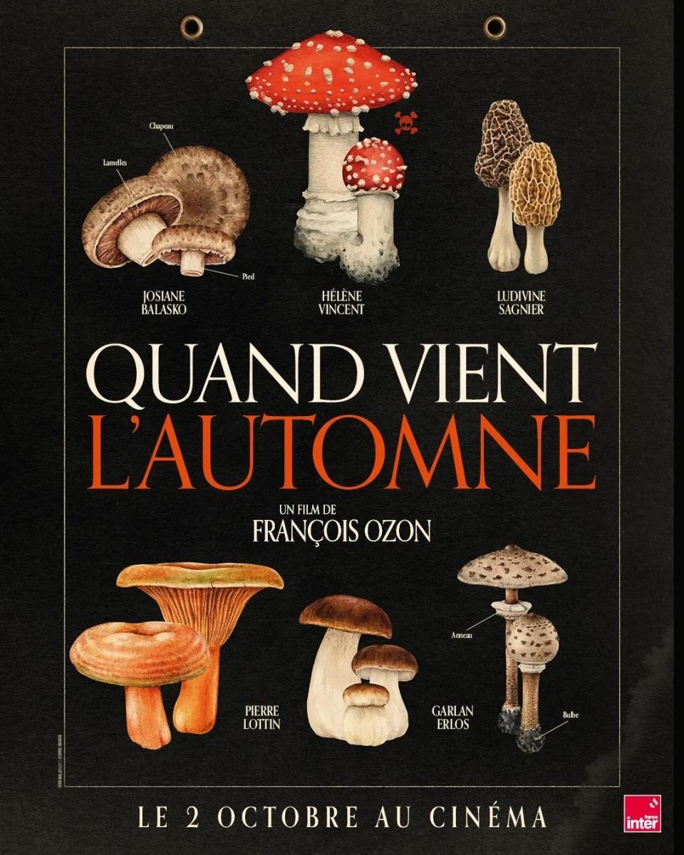 séance de cinéma Quand vient l'automne