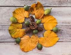 ATELIER MANDALAS DE LA NATURE