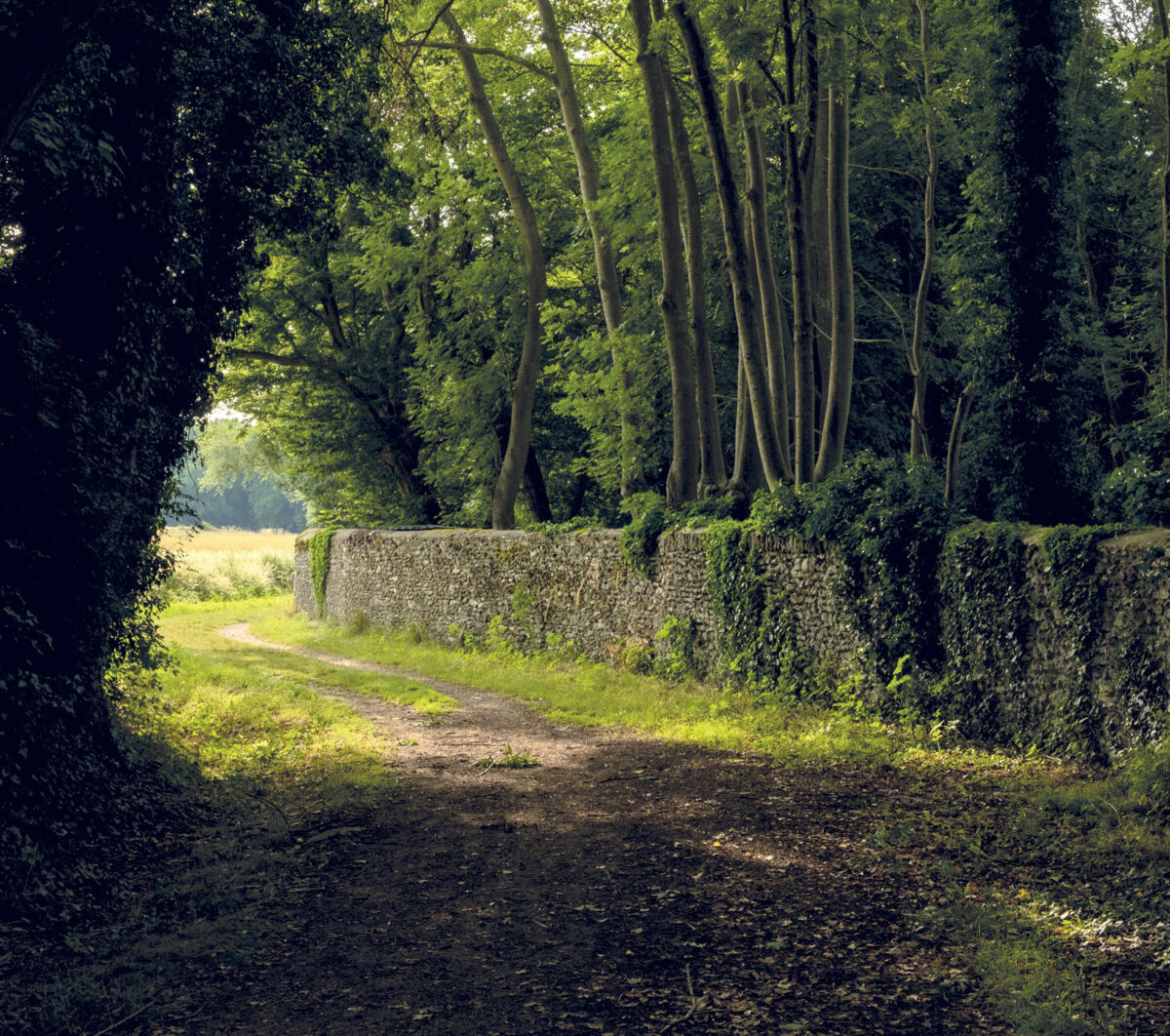 🥾 Randonnée à travers les chemins ruraux 🚶‍➡️