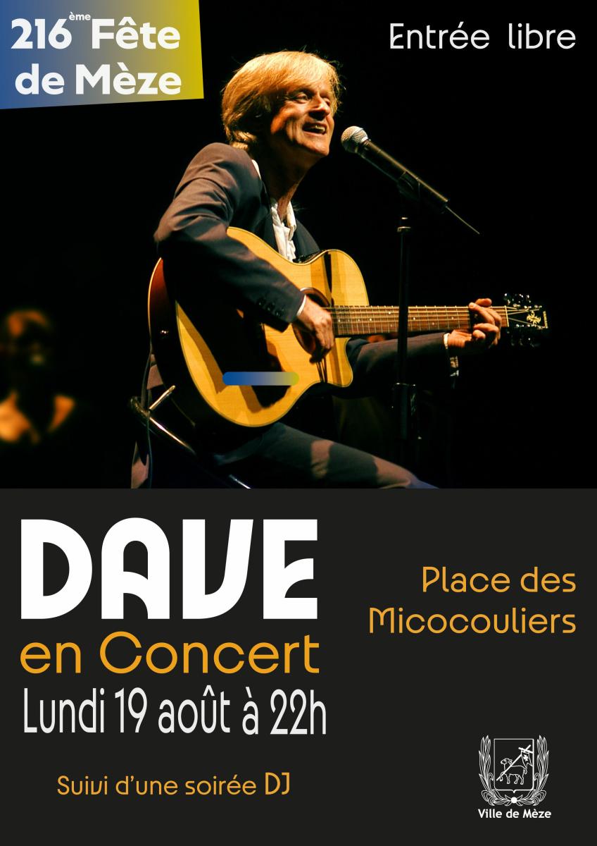 Dave en concert