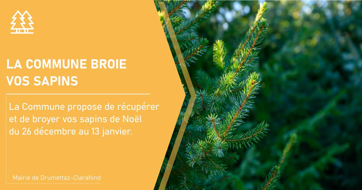 La Commune broie vos sapins 🎄♻️