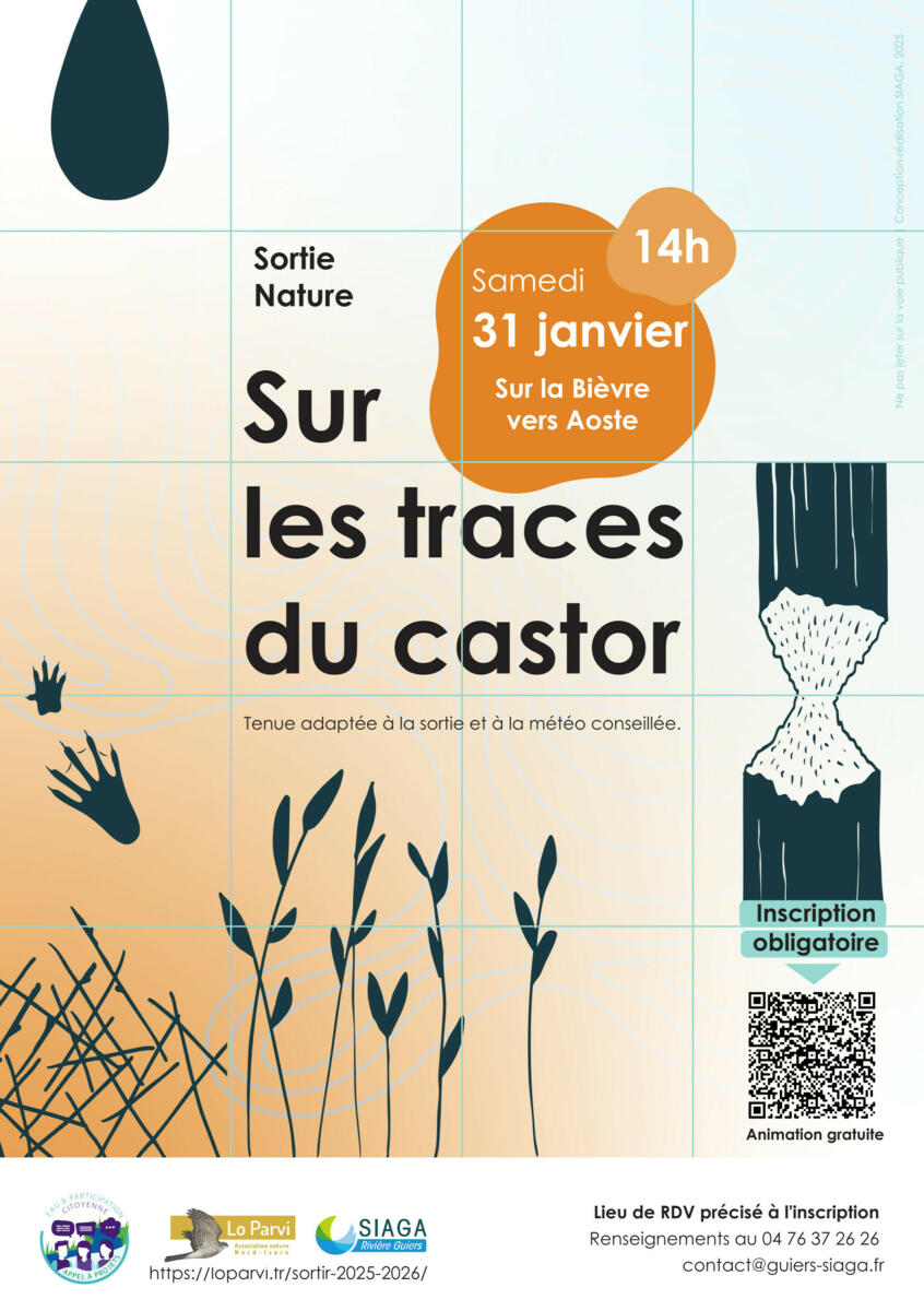Nature | Sur les traces du castor - SIAGA