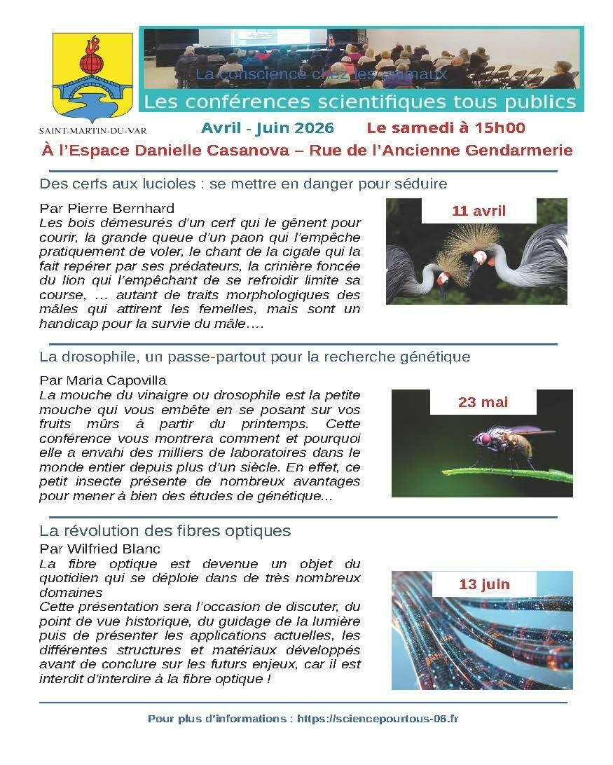 🧠 Conférences scientifiques