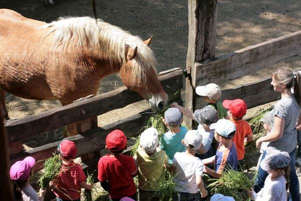 Parcours famille à la ferme