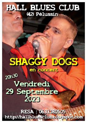 Concert “Shaggy Dogs”