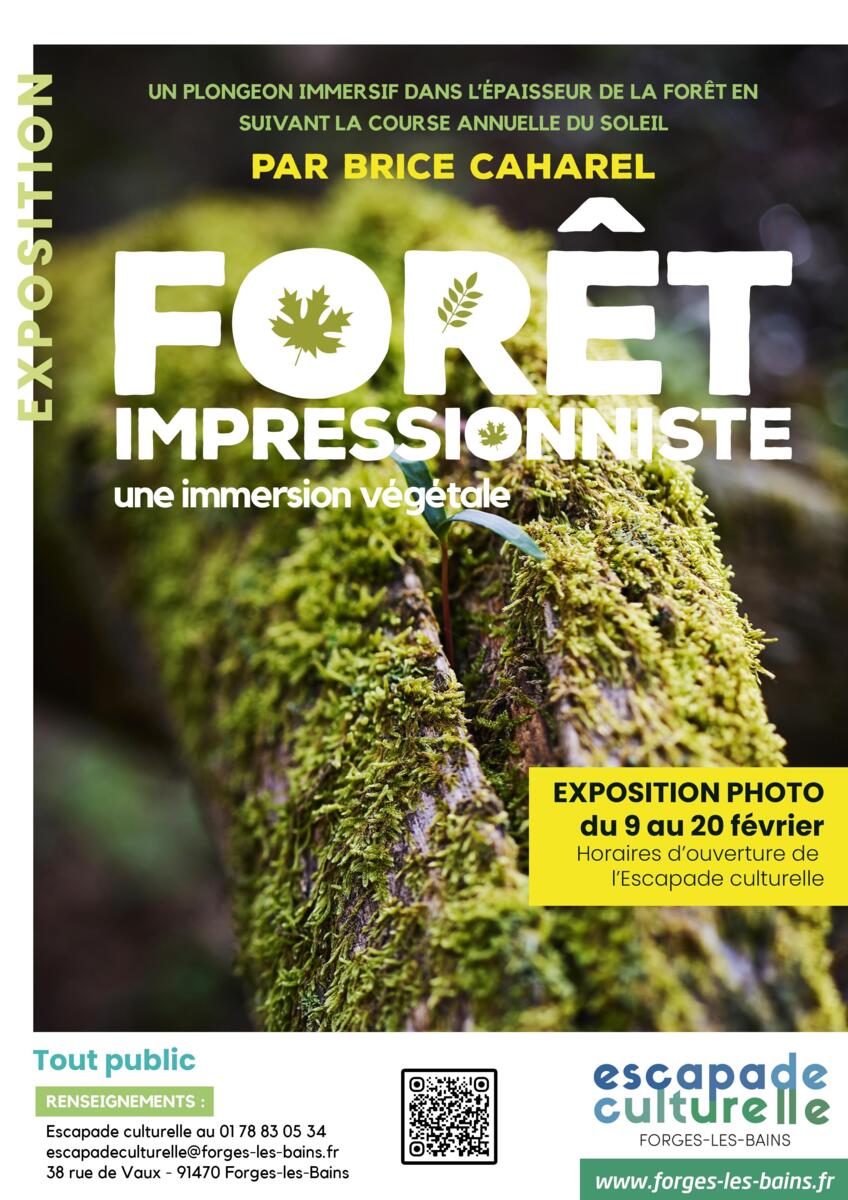 EXPOSITION PHOTOS | Forêt impressionniste, une immersion végétale 🌿📸