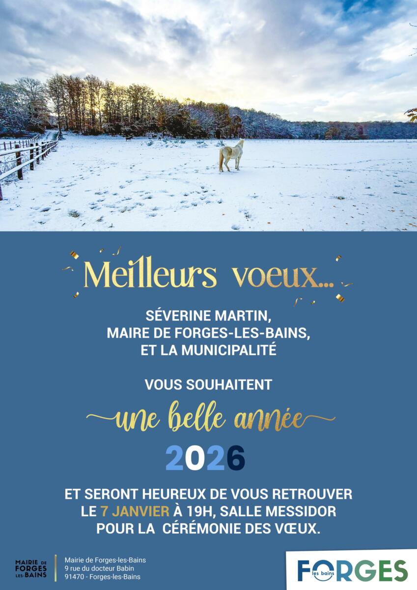 Cérémonie des voeux ✨