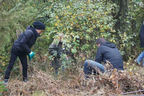 Participez à la restauration de la colline aux oiseaux !