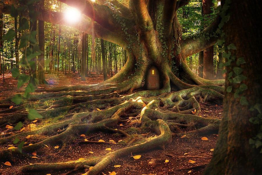 La forêt médiévale, lieu de vie - Conférence UPT à St Bonnet Le Château