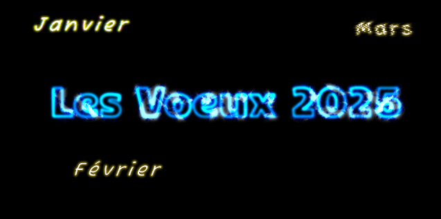 Voeux 2025