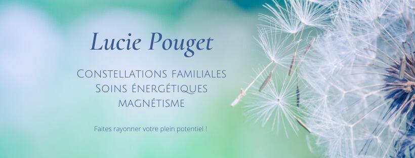 journée constellations familiales