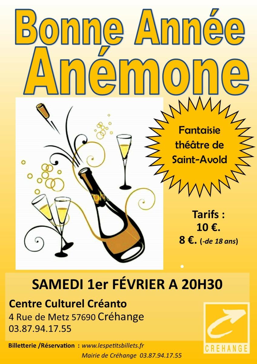 Bonne Année Anémone (Théâtre)