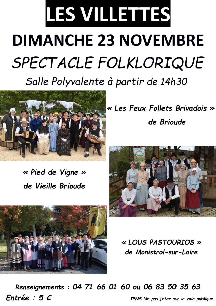 Spectacle de danse Folklorique