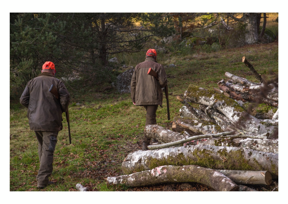 Ouverture de la Chasse 🦌