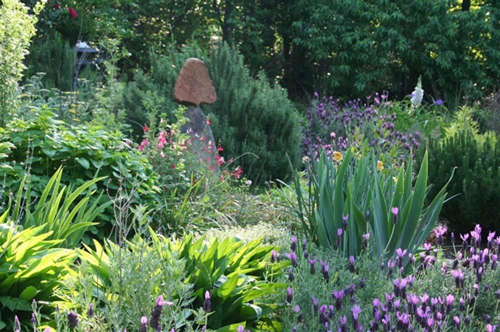 Atelier Forêt comestible