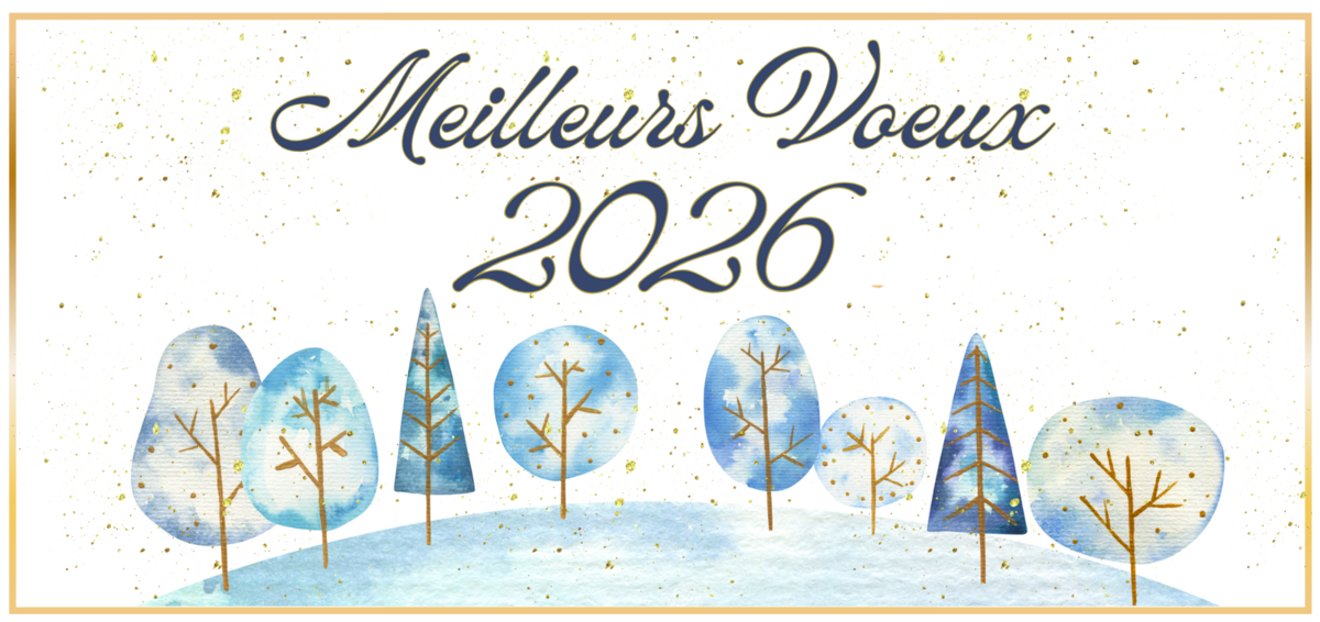 Cérémonie des voeux du Maire 2026 🎉