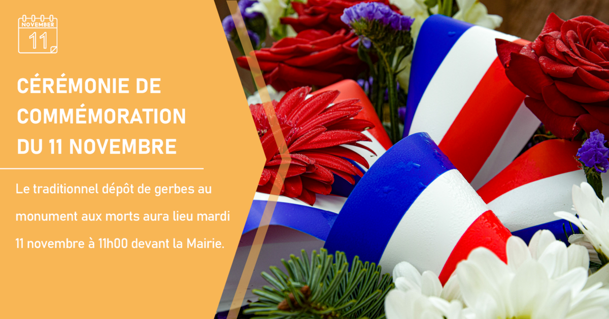 Commémoration du 11 novembre 🇫🇷