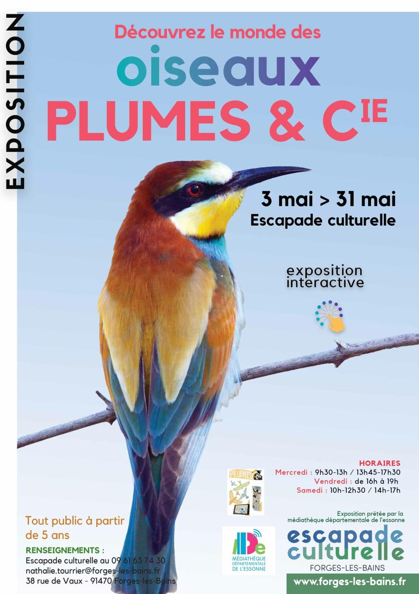 Exposition “Plumes & compagnie”